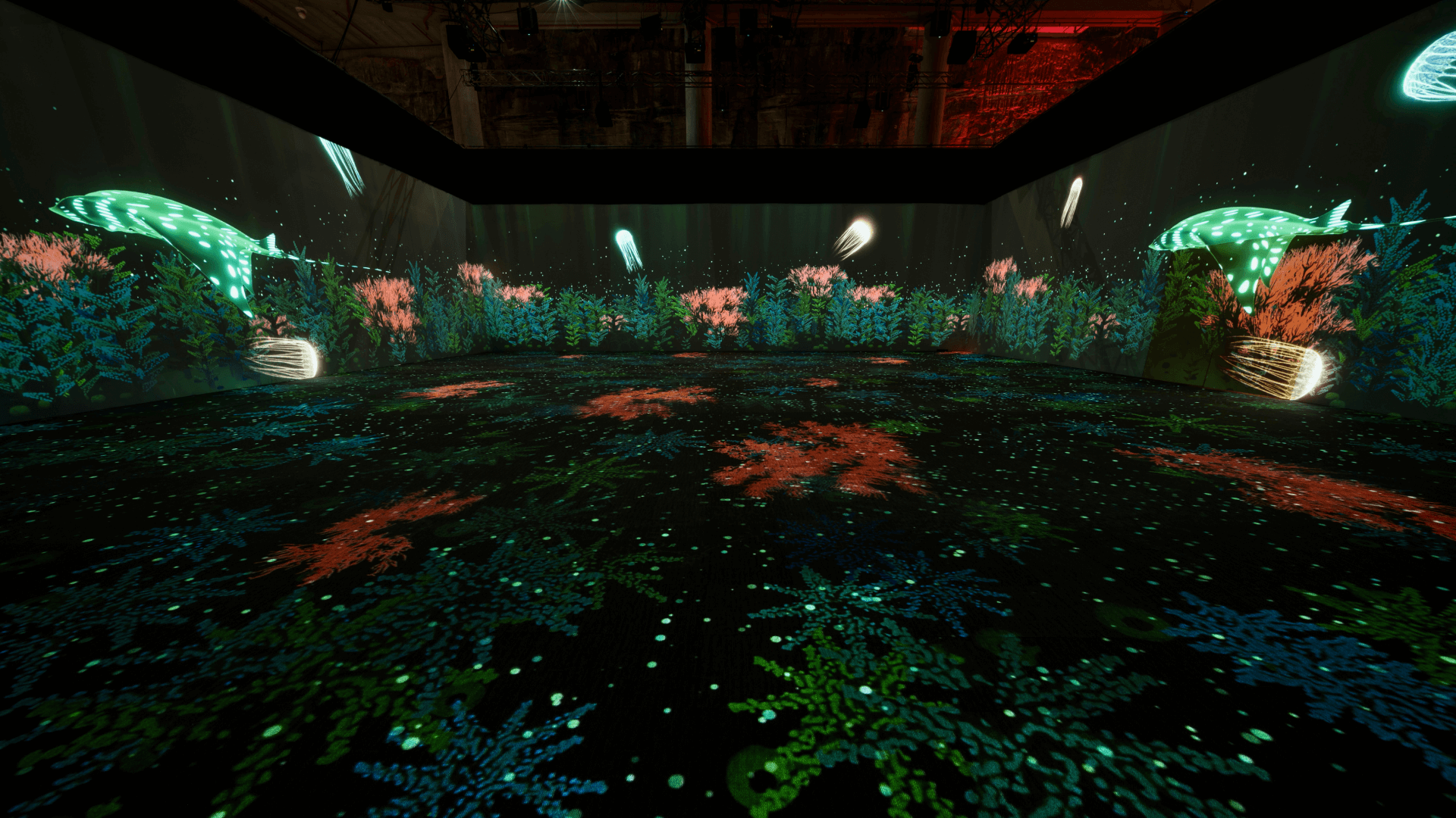 Generative corals growing