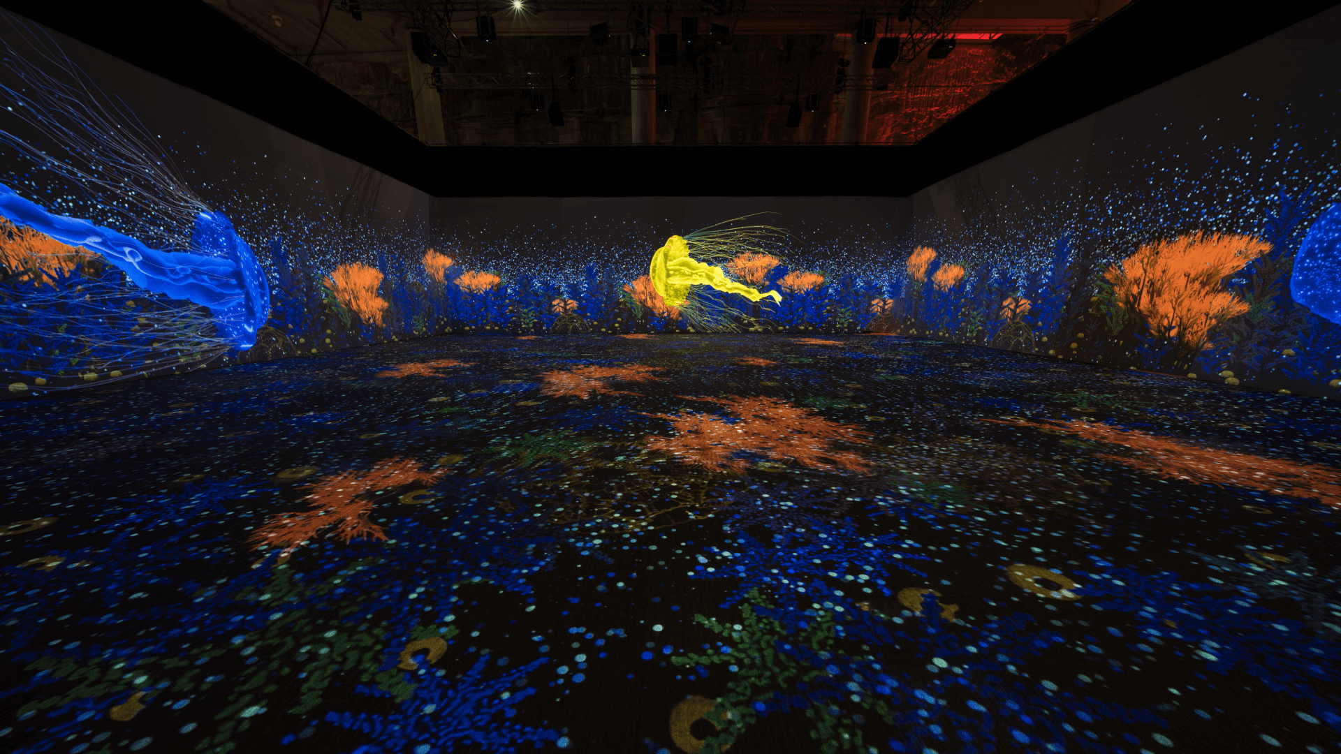 Generative corals growing